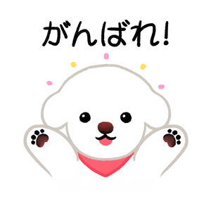 Yallet the bichon (taster) messages sticker-4