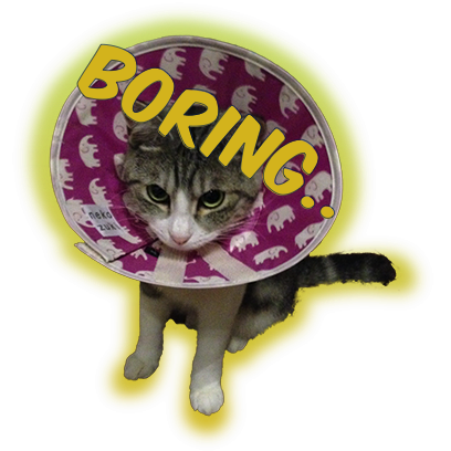 Cat Bros. Sticker Lite messages sticker-8