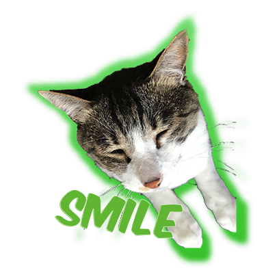 Cat Bros. Sticker Lite messages sticker-4