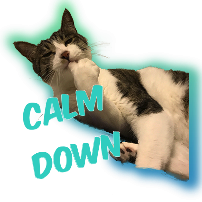 Cat Bros. Sticker Lite messages sticker-5