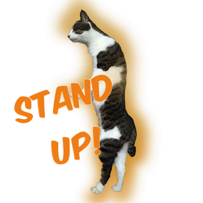 Cat Bros. Sticker Lite messages sticker-9