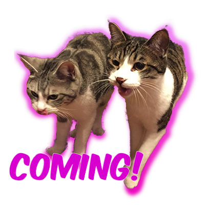 Cat Bros. Sticker Lite messages sticker-3