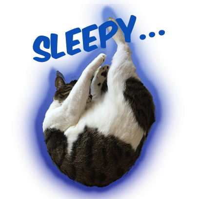 Cat Bros. Sticker Lite messages sticker-11