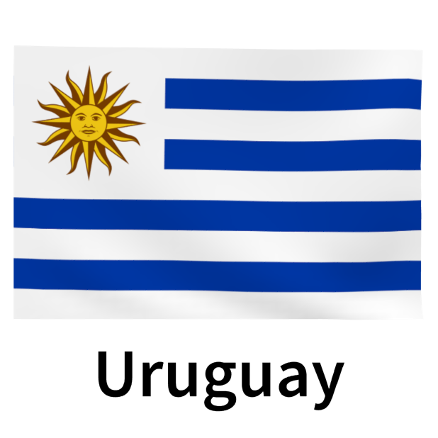 Top 32 World Soccer Flags messages sticker-3