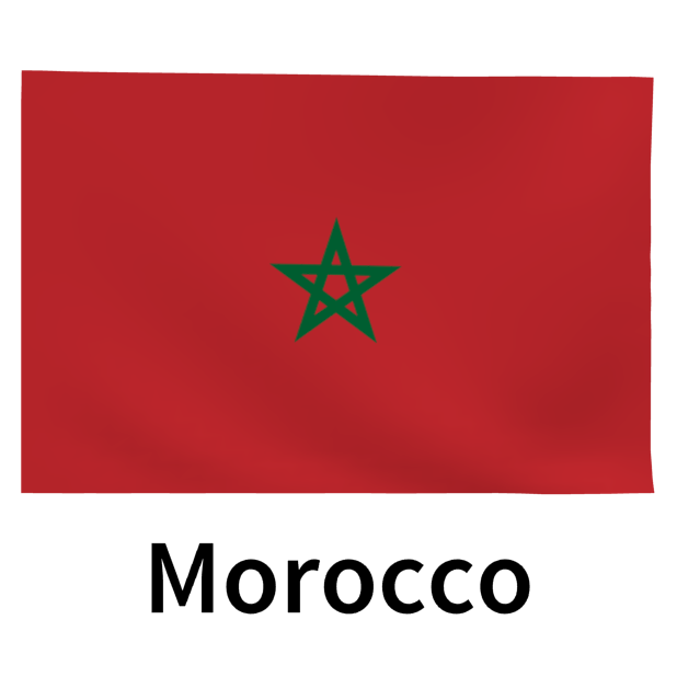 Top 32 World Soccer Flags messages sticker-6