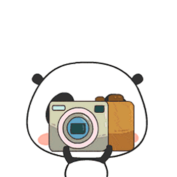 Little Bear Animated Sticker messages sticker-1