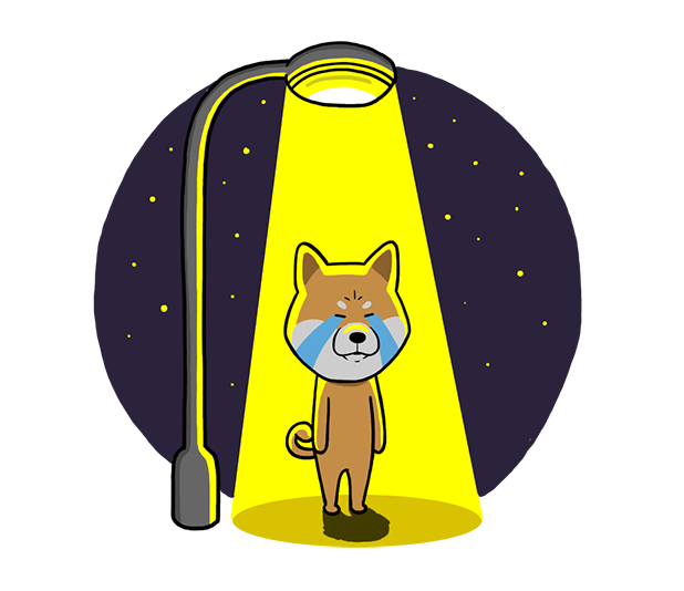 Shiba Dog 'Rui' messages sticker-11