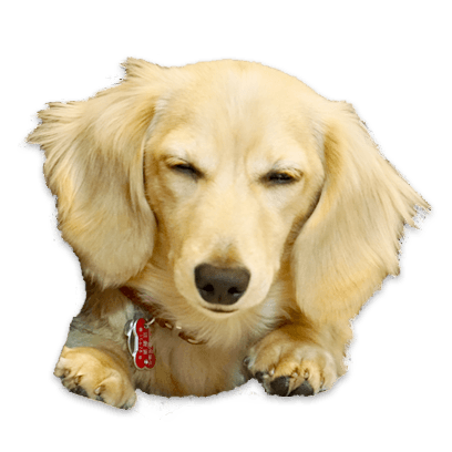 Cleo Daily Stickers messages sticker-4