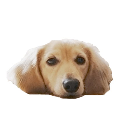 Cleo Daily Stickers messages sticker-2