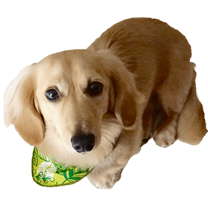 Cleo Daily Stickers messages sticker-0