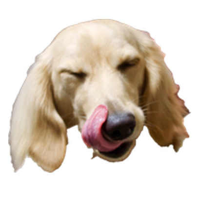 Cleo Daily Stickers messages sticker-6