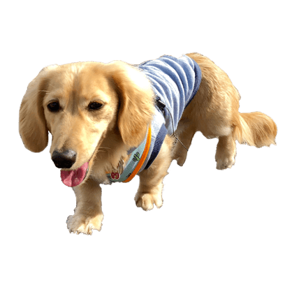 Cleo Daily Stickers messages sticker-11