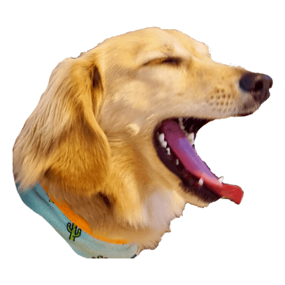 Cleo Daily Stickers messages sticker-3