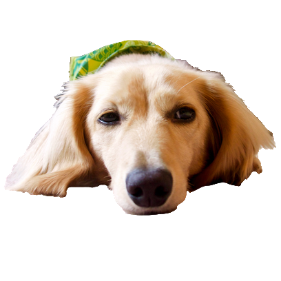 Cleo Daily Stickers messages sticker-9
