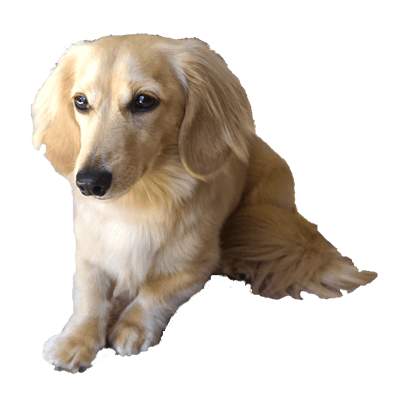 Cleo Daily Stickers messages sticker-7