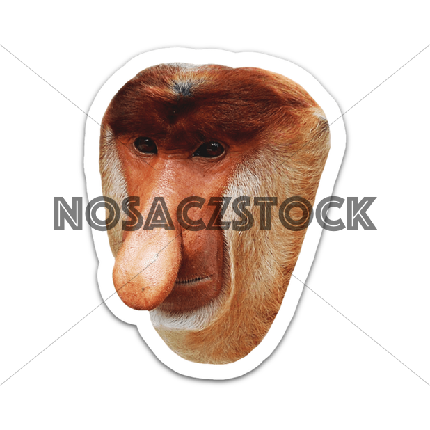 Nosaczmoji Biedra Edyszyn messages sticker-0