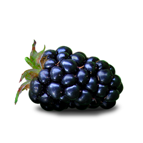 Fruits for iMessage! messages sticker-8