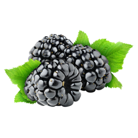 Fruits for iMessage! messages sticker-5