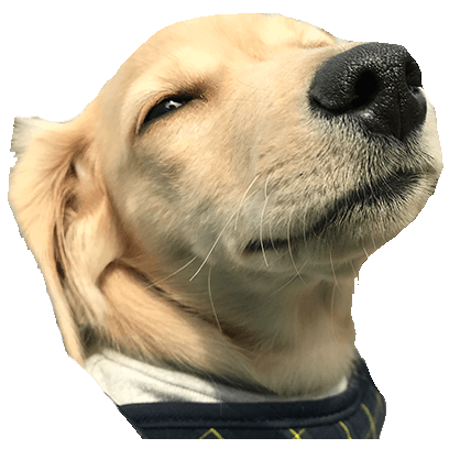 Cleo Daily Sticker Puppy Era messages sticker-9
