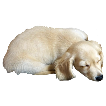 Cleo Daily Sticker Puppy Era messages sticker-11