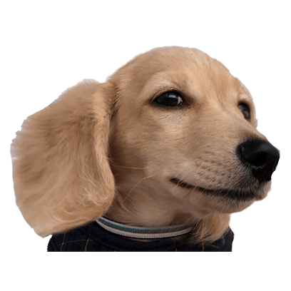Cleo Daily Sticker Puppy Era messages sticker-0