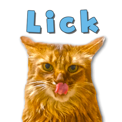 A fun cat message sticker messages sticker-0
