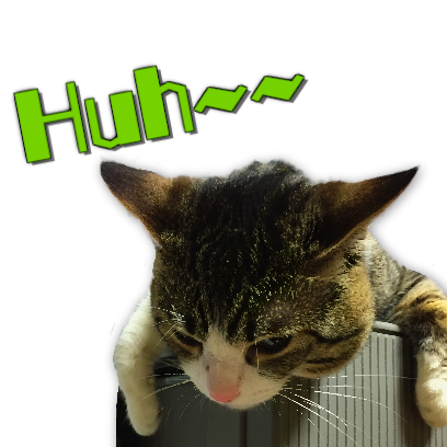 A fun cat message sticker messages sticker-5
