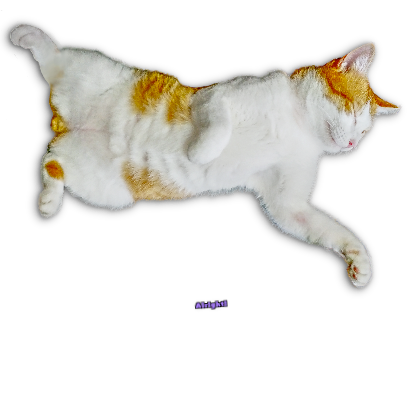A fun cat message sticker messages sticker-10