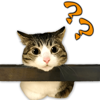 A fun cat message sticker messages sticker-2