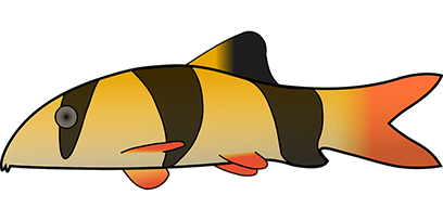 Tropical Fish Stickers messages sticker-7