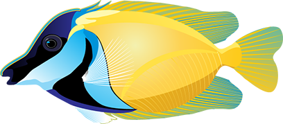 Tropical Fish Stickers messages sticker-5