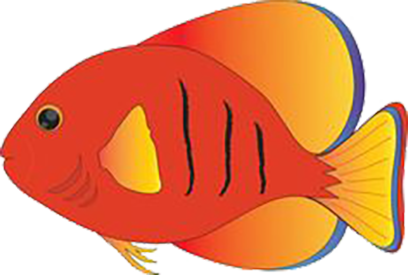 Tropical Fish Stickers messages sticker-11