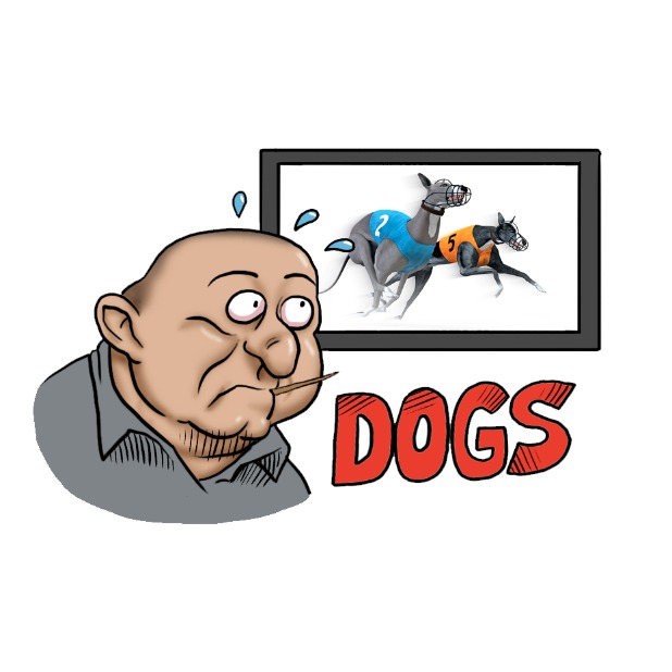 Premier Stickeri messages sticker-3