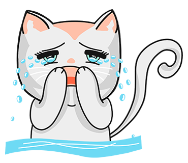 Chabby Cat messages sticker-10