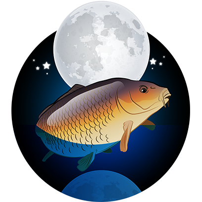 CARPology Stickers messages sticker-11