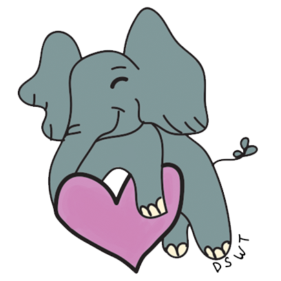 DSWT Baby Elephant Stickers messages sticker-2