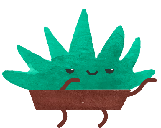 Happy Succulents messages sticker-4