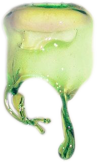 Slime Photo - Funny Pic Editor messages sticker-2