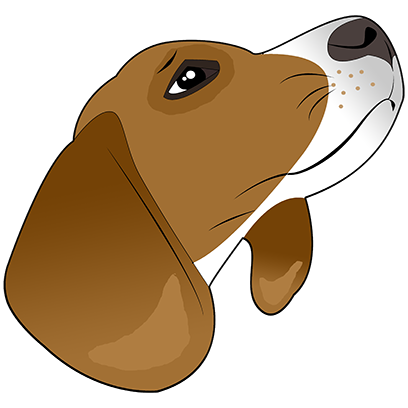 Beagle Bruno messages sticker-2