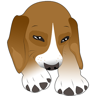 Beagle Bruno messages sticker-3