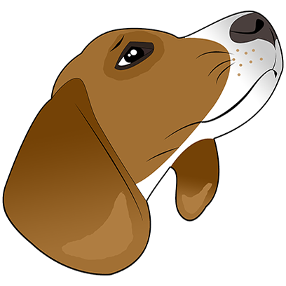Beagle Bruno Stickers messages sticker-3