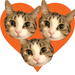 Commoddidoo & Friends messages sticker-1