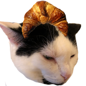 Commoddidoo & Friends messages sticker-8