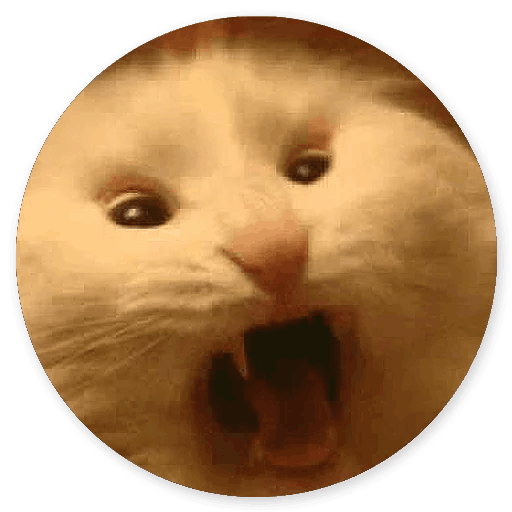 Stupid Cats messages sticker-1