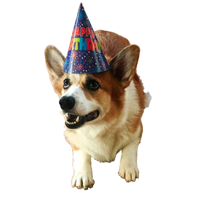 Corgi Rick Rick Sticks messages sticker-1