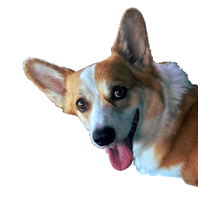 Corgi Rick Rick Sticks messages sticker-8