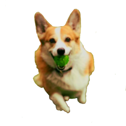 Corgi Rick Rick Sticks messages sticker-5