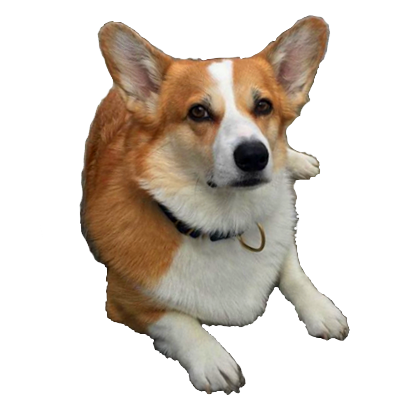 Corgi Rick Rick Sticks messages sticker-2