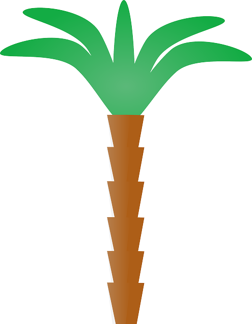 Palm Tree Stickers messages sticker-11