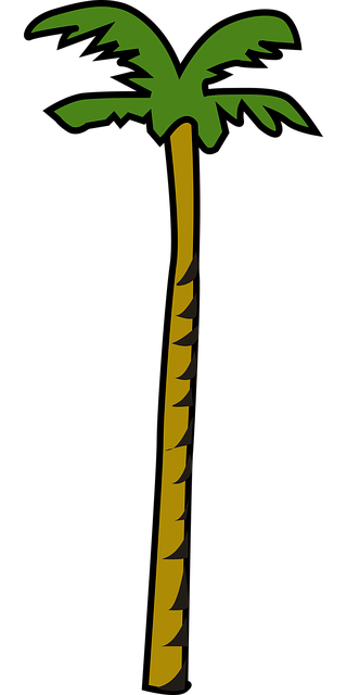 Palm Tree Stickers messages sticker-5